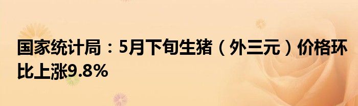 国家统计局：5月下旬生猪（外三元）价格环比上涨9.8%