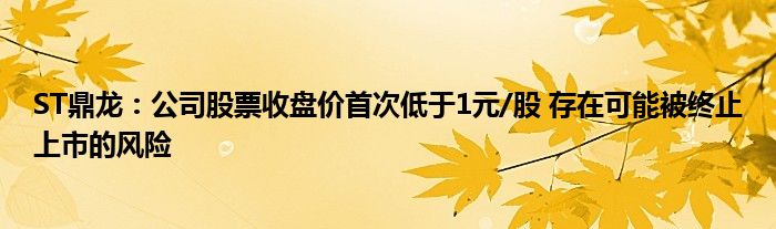 ST鼎龙：公司股票收盘价首次低于1元/股 存在可能被终止上市的风险