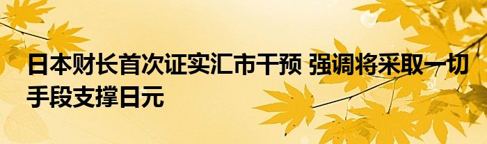 日本财长首次证实汇市干预 强调将采取一切手段支撑日元