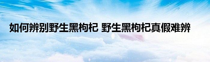 如何辨别野生黑枸杞 野生黑枸杞真假难辨