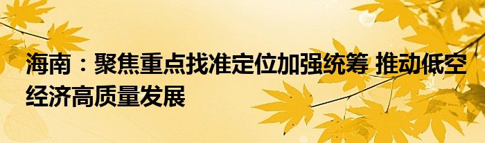 海南：聚焦重点找准定位加强统筹 推动低空经济高质量发展