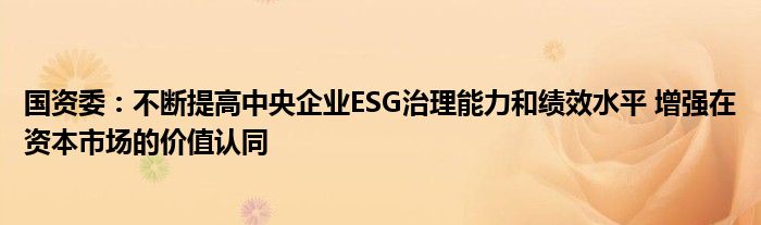 国资委：不断提高中央企业ESG治理能力和绩效水平 增强在资本市场的价值认同