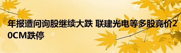 年报遭问询股继续大跌 联建光电等多股竞价20CM跌停