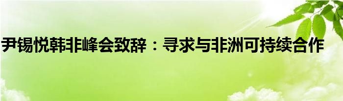 尹锡悦韩非峰会致辞：寻求与非洲可持续合作