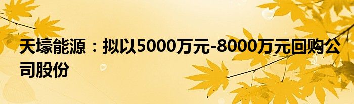 天壕能源：拟以5000万元-8000万元回购公司股份