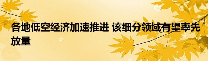 各地低空经济加速推进 该细分领域有望率先放量