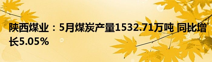 陕西煤业：5月煤炭产量1532.71万吨 同比增长5.05%