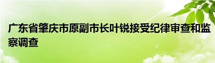 广东省肇庆市原副市长叶锐接受纪律审查和监察调查