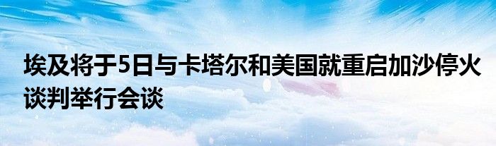 埃及将于5日与卡塔尔和美国就重启加沙停火谈判举行会谈