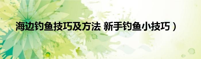 海边钓鱼技巧及方法 新手钓鱼小技巧）