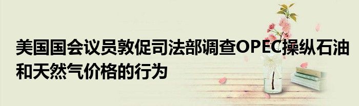 美国国会议员敦促司法部调查OPEC操纵石油和天然气价格的行为