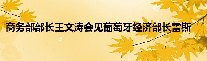 商务部部长王文涛会见葡萄牙经济部长雷斯