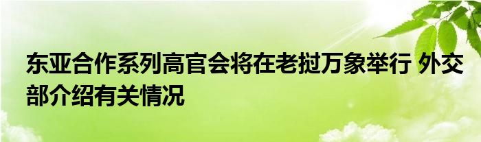 东亚合作系列高官会将在老挝万象举行 外交部介绍有关情况