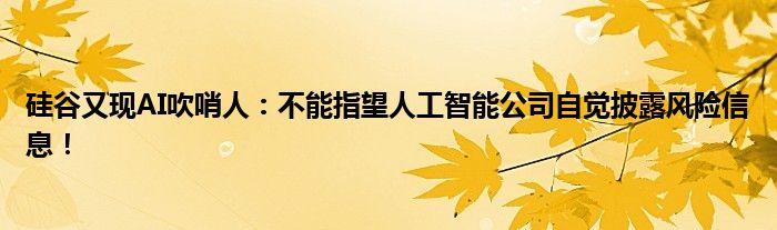 硅谷又现AI吹哨人：不能指望人工智能公司自觉披露风险信息！