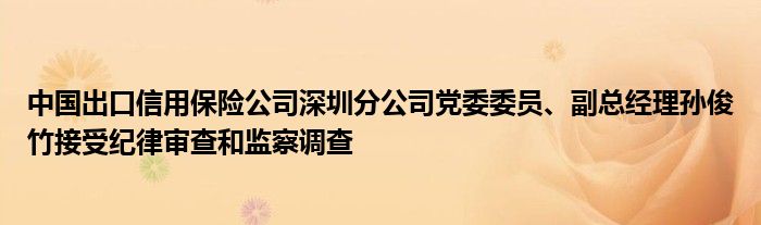 中国出口信用保险公司深圳分公司党委委员、副总经理孙俊竹接受纪律审查和监察调查