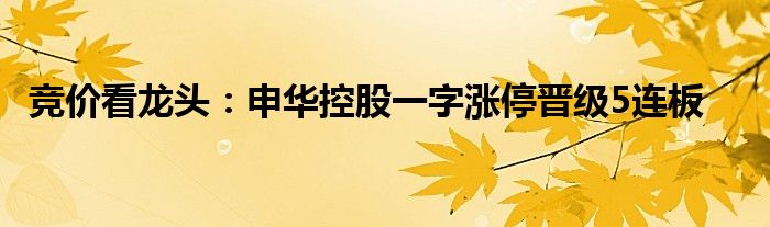 竞价看龙头：申华控股一字涨停晋级5连板