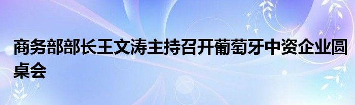 商务部部长王文涛主持召开葡萄牙中资企业圆桌会