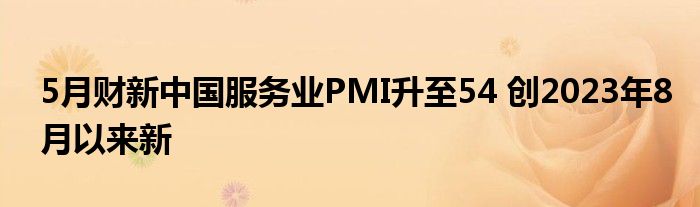 5月财新中国服务业PMI升至54 创2023年8月以来新