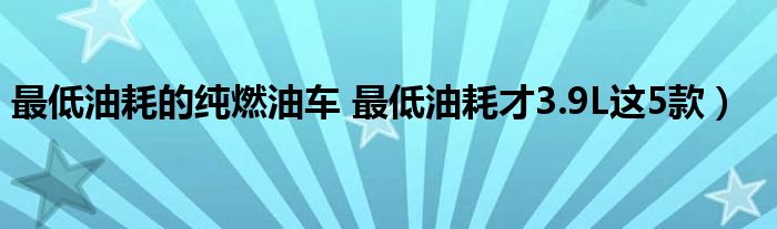 最低油耗的纯燃油车 最低油耗才3.9L这5款）