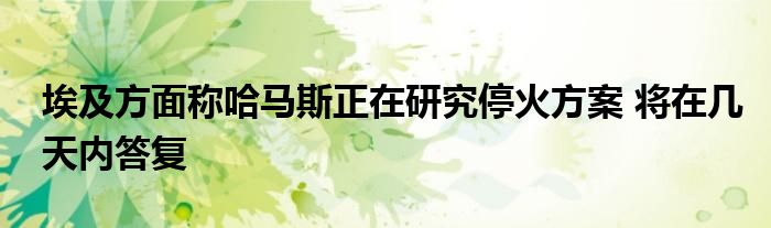 埃及方面称哈马斯正在研究停火方案 将在几天内答复