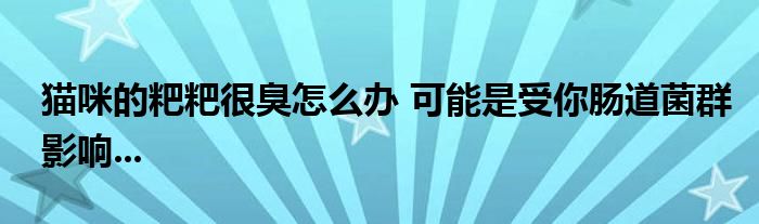 猫咪的粑粑很臭怎么办 可能是受你肠道菌群影响...