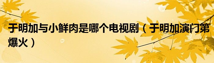 于明加与小鲜肉是哪个电视剧（于明加演门第爆火）