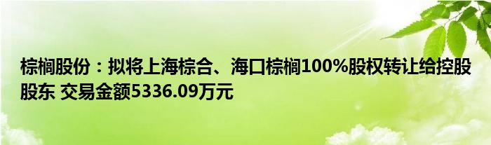 棕榈股份：拟将上海棕合、海口棕榈100%股权转让给控股股东 交易金额5336.09万元