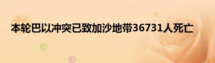 本轮巴以冲突已致加沙地带36731人死亡