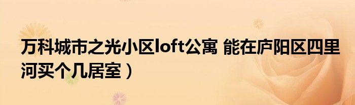 万科城市之光小区loft公寓 能在庐阳区四里河买个几居室）