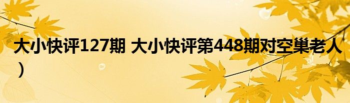 大小快评127期 大小快评第448期对空巢老人）