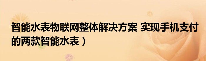 智能水表物联网整体解决方案 实现手机支付的两款智能水表）