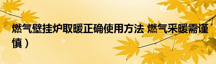 燃气壁挂炉取暖正确使用方法 燃气采暖需谨慎）