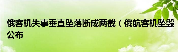 俄客机失事垂直坠落断成两截（俄航客机坠毁公布