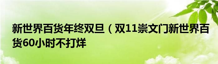 新世界百货年终双旦（双11崇文门新世界百货60小时不打烊