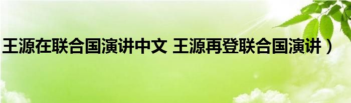 王源在联合国演讲中文 王源再登联合国演讲）