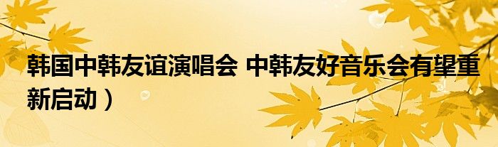 韩国中韩友谊演唱会 中韩友好音乐会有望重新启动）