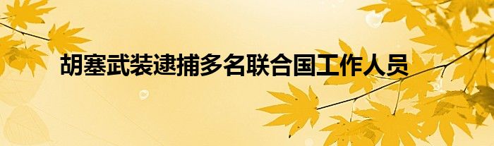 胡塞武装逮捕多名联合国工作人员