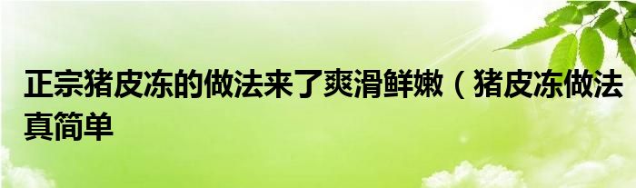 正宗猪皮冻的做法来了爽滑鲜嫩（猪皮冻做法真简单