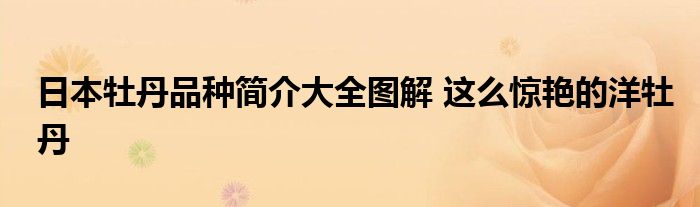 日本牡丹品种简介大全图解 这么惊艳的洋牡丹