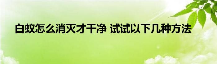 白蚁怎么消灭才干净 试试以下几种方法