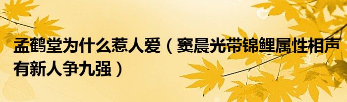 孟鹤堂为什么惹人爱（窦晨光带锦鲤属性相声有新人争九强）