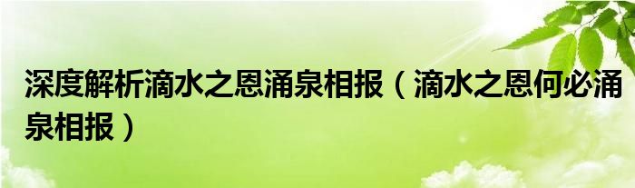 深度解析滴水之恩涌泉相报（滴水之恩何必涌泉相报）