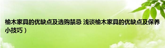 榆木家具的优缺点及选购禁忌 浅谈榆木家具的优缺点及保养小技巧）