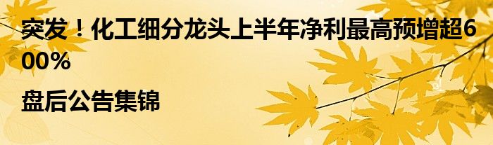 突发！化工细分龙头上半年净利最高预增超600%|盘后公告集锦