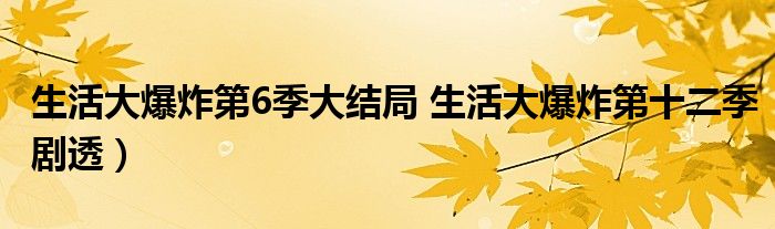 生活大爆炸第6季大结局 生活大爆炸第十二季剧透）