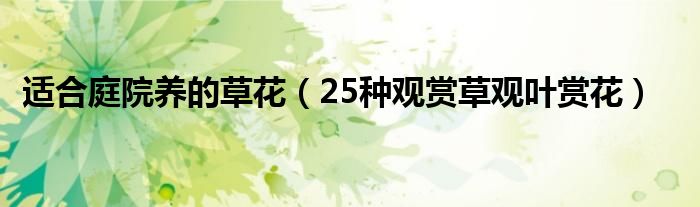 适合庭院养的草花（25种观赏草观叶赏花）