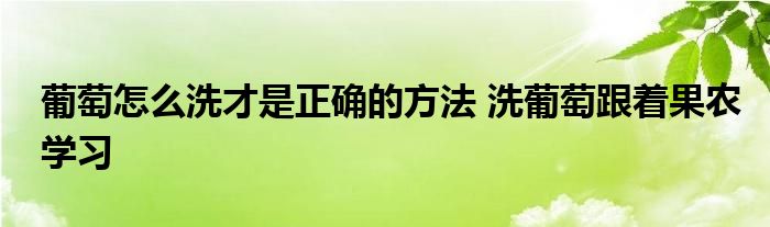 葡萄怎么洗才是正确的方法 洗葡萄跟着果农学习