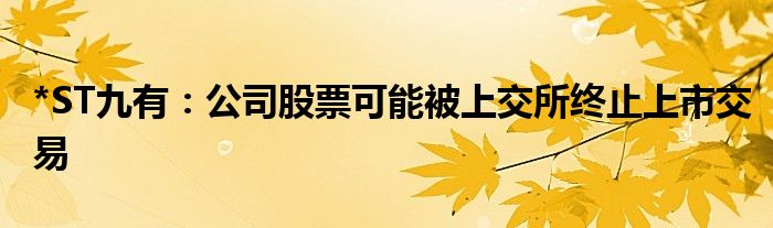 *ST九有：公司股票可能被上交所终止上市交易