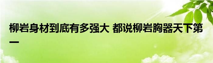 柳岩身材到底有多强大 都说柳岩胸器天下第一