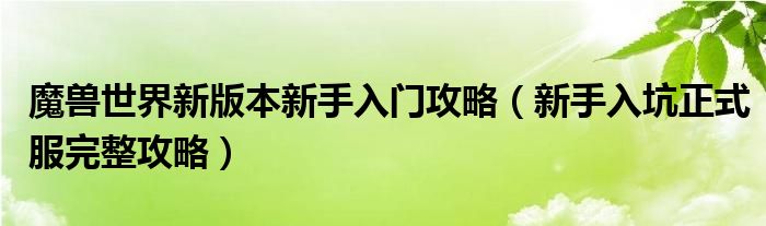 魔兽世界新版本新手入门攻略（新手入坑正式服完整攻略）